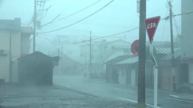 Violent Hurricane Wind Blows Debris Through City Street - Jebi