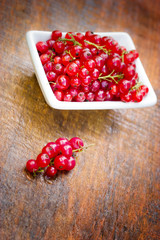 Fresh organic currants in healthy eating