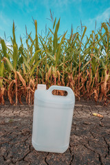 White plastic pesticide chemical jug in cornfield