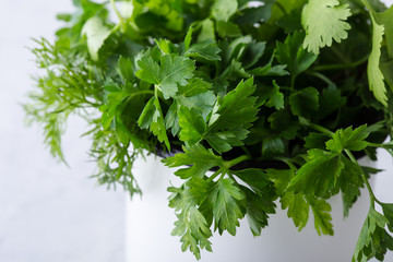 Fresh homegrown organic culinary and aromatic herbs plant
