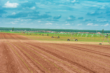 Fototapeta na wymiar Pivot irrigation system in cultivated soybean and corn field