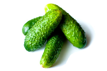 small cucumbers baby gherkins on a white background isolated