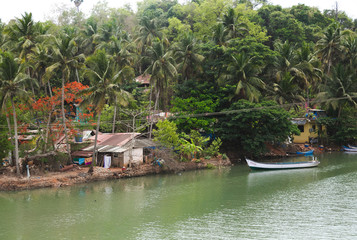Boat on the river nearby of house in jungle, south Goa, India, rural life in India, backwaters in India