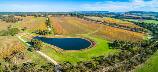 Scenic large vineyard and small lake - aerial panorama
