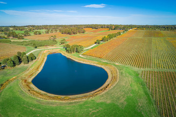 Aerial view of beautiful golden vineyard and pond in autumn. Mornington Peninsula, Victoria,...