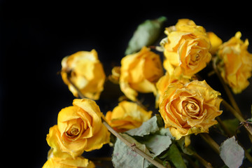 A dry bouquet of yellow roses on a black background close-up, frustration at the end of the holidays, a sad day