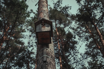 Fototapeta na wymiar birdhouse on tree
