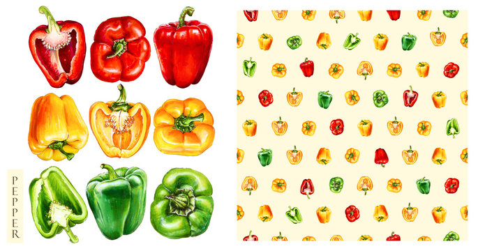 Green, yellow, red  bell peppers isolated on white background. Watercolor seamless pattern of vegetables, raw pepper. Hand-drawn healthy food.