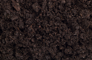 Pile of soil isolated on white background