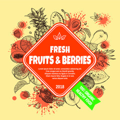 Fresh fruits and berries banner concept. Hand drawn fresh fruits and berries set. Template for your design works. Engraved style vector illustration.
