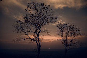 แสงเย็น