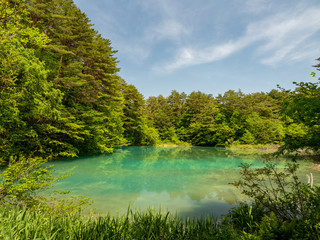 初夏の五色沼