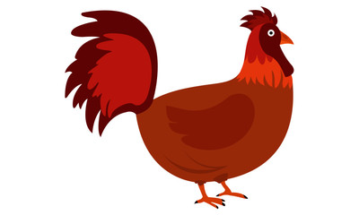 Red Cock