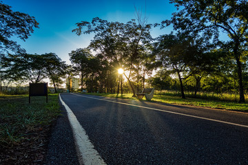 Fototapeta premium Municipal park of Ribeirão Preto - Sao Paulo, Brazil, View of the Curupira Park walking trail in Ribeirão Preto at dusk with sun between the trees and blue sky