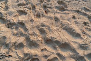 sand texture with shady curves and craters