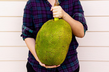 Hands hold large jackfruit on bright beige wood wall background