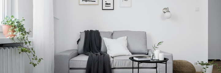 Gray sofa and coffee table