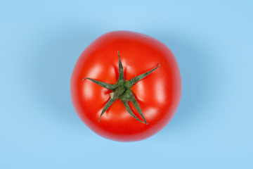 Fresh tomato. Tomato isolated on blue background