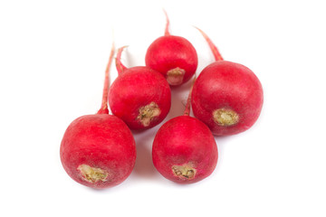 Fresh radishes isolated on white background. Close up