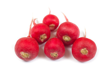 Fresh radishes isolated on white background. Close up