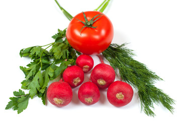Fresh radishes, green dill, parsley and red tomato isolated on white background. Salad composition. Healthy food conception