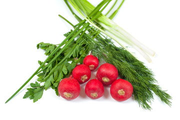 Fresh radishes, green dill, parsley and onion isolated on white background. Salad composition. Healthy food conception