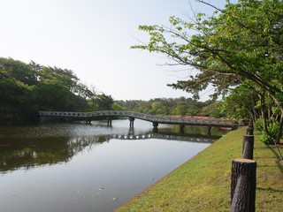 公園の白い橋