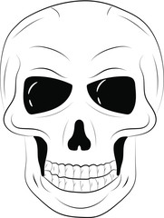 Outline transparent vector skull in black