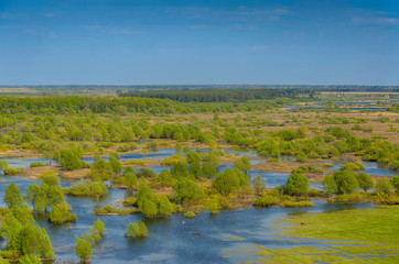 Horizontal landscape: the river flooded the valley. River and the field on a sunny summer day. Voroninsky National Park, Tambov Oblast, Russia.