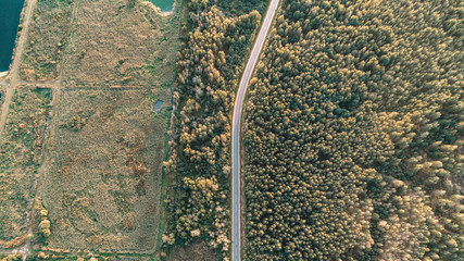 agricultural fields and roads top view