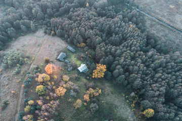 hornbeam yellow forest on hills with farms, view from the drone