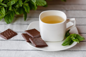 Fragrant hot tea with mint in a white cup on a table.