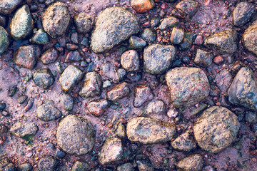 Stones on the shore