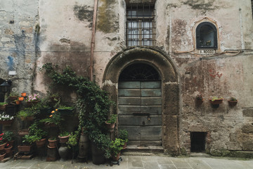 Old medieval front house facade of door and plants