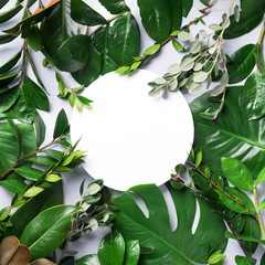 Summer and spring concept. Tropical nature background with green leaves and white empty circle frame for copy space. Top view. Flat lay. Creative advertising