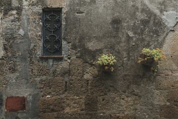 Dirty old wall facade. Texture or background