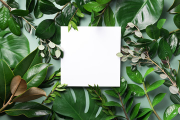 Summer and spring concept. Tropical nature background with green leaves and white empty square frame for copy space. Top view. Flat lay. Creative advertising