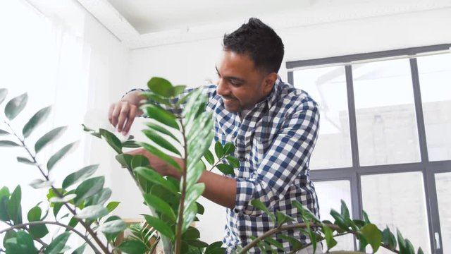people, housework and care concept - indian man spraying houseplant with water sprayer and cleaning leaves by tissue at home