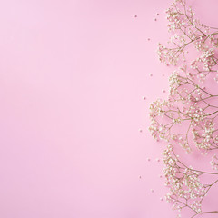 Small white gypsophila flowers on pastel pink background. Women's Day, Mother's Day, Valentine's Day, Wedding concept. Flat lay. Top view. Copy space