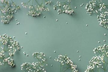Small white gypsophila flowers on pastel green background. Women's Day, Mother's Day, Valentine's...