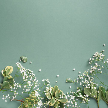 Small White Gypsophila Flowers On Pastel Green Background. Women's Day, Mother's Day, Valentine's Day, Wedding Concept. Flat Lay. Top View. Copy Space