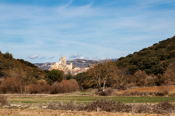 castle in medieval city