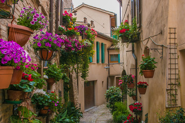 Fototapeta premium Spello wśród najpiękniejszych ukwieconych wiosek we Włoszech