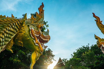 Head dragon in Thailand temple