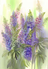 pink and violet lupine flowers watercolor background