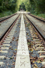 Fototapeta premium railway in forest