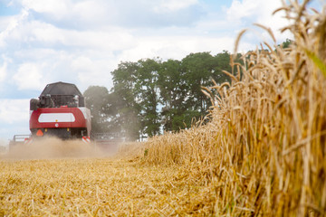 Krasnodar Territory, RUSSIA - July 08 2017 : Harvester machine to harvest wheat field working. Combine harvester agriculture machine harvesting golden ripe wheat field. Agriculture