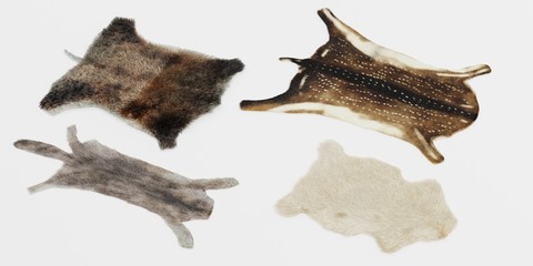Realistic 3D Render of Animal Skins