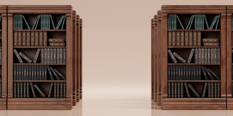 Realistic 3D Render of Bookshelf with Books