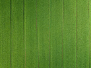 green field Aerial